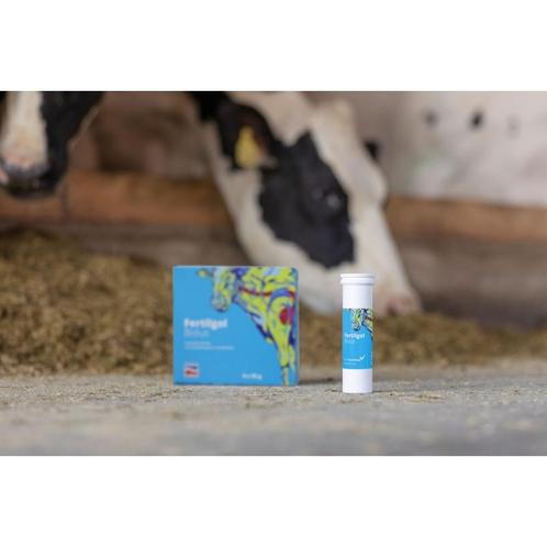 Fertigol bolus, beta-carotin bolus, 8 bolus-packung - kerbl, Dieren en Toebehoren, Stalling en Weidegang