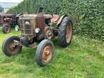 1956 Landini L35 gloeikop Oldtimer tractor, Nieuw