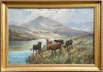 Douglas Cameron (1880-1910) - Highland Cattle Grazing