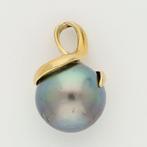 Zonder minimumprijs - Hanger - 14 karaat Geel goud - Parel