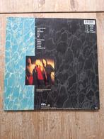 Nirvana - Nevermind (first pressing) - Disque vinyle unique, Nieuw in verpakking