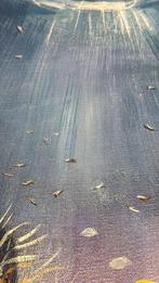 Pasquale Vuotto (1958) - Fauna marina