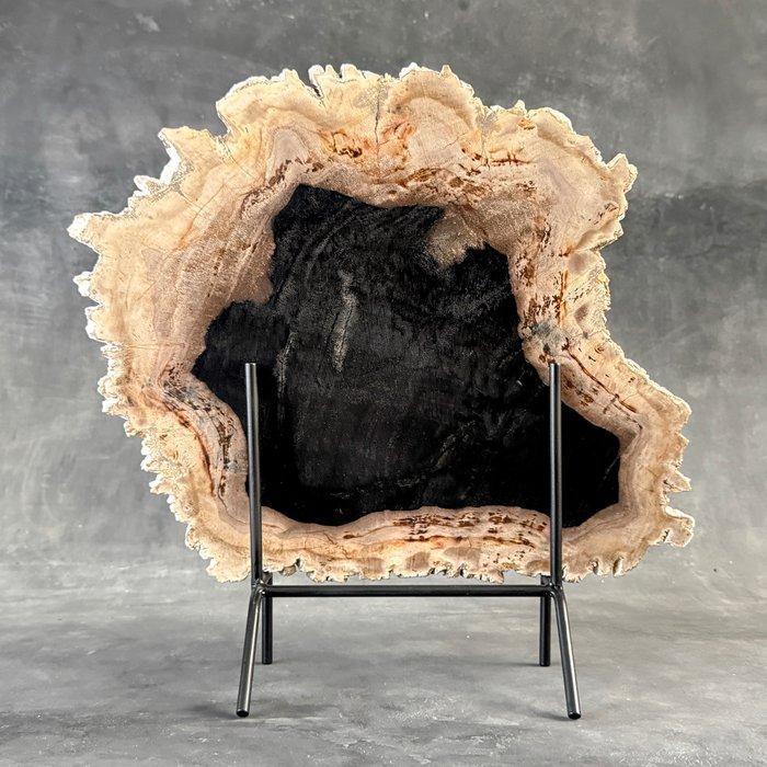 C- Prachtige snede van versteend hout op een aangepast, Antiek en Kunst, Kunst | Designobjecten