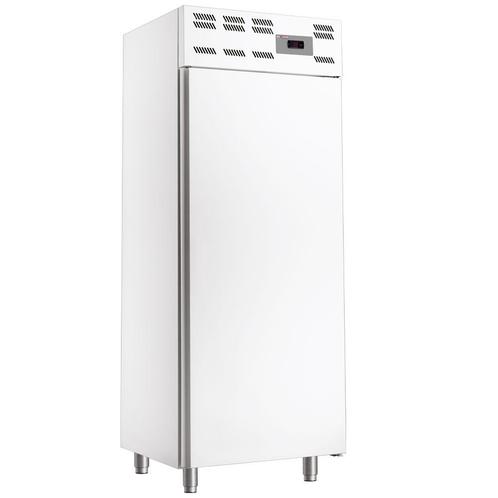 Vrieskast , 20x EN 600x400, statisch, (500 Lit.) - Skinplate, Zakelijke goederen, Horeca | Keukenapparatuur, Koelen en Vriezen