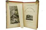 Jules Verne / Férat - Lile mystérieuse - 1890, Antiek en Kunst