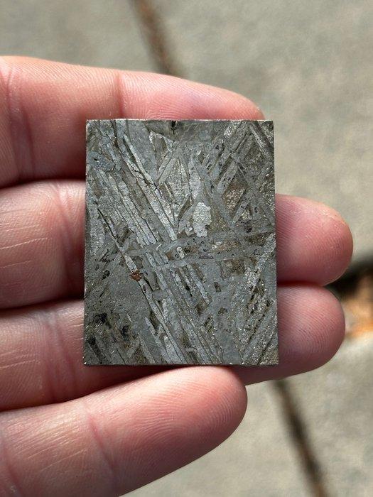 Aletai meteoriet Geen minimumprijs - 29 g, Verzamelen, Mineralen en Fossielen