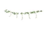 Slinger Wisteria 1,7m, Verzenden, Nieuw