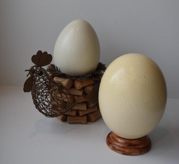 Ornement décoratif (4) - œuf dautruche avec socle - œuf, Collections, Collections Animaux