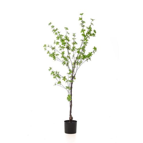 Kunstplant - Tropaeolum Speciosum - Oost Indische Kers - 150, Maison & Meubles, Accessoires pour la Maison | Plantes & Fleurs artificielles