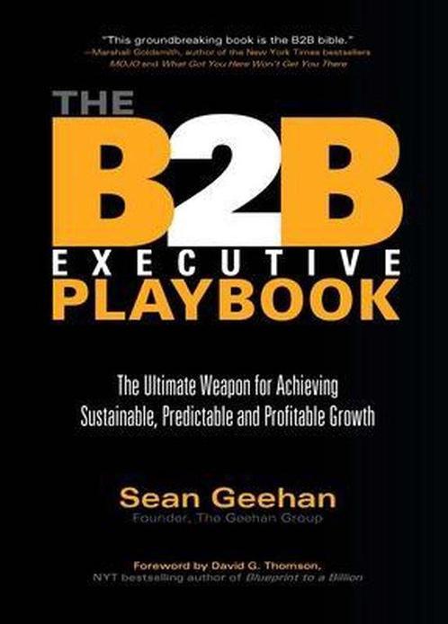 B2B Executive Playbook 9781578604463 Sean Geehan, Boeken, Taal | Engels, Gelezen, Verzenden