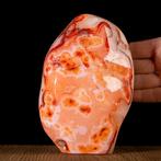 Concentrische Cirkel - Fascinerende Patronen Zeldzame