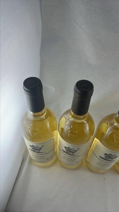 2022 Stags Leap Aveta Sauvignon Blanc - Napa Valley - 6, Verzamelen, Wijnen