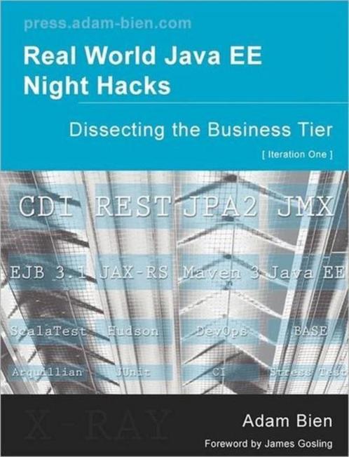 Real World Java EE Night Hacks Dissecting the Business Tier, Boeken, Overige Boeken, Gelezen, Verzenden