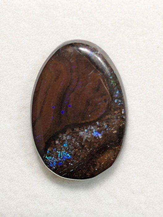 9,35 ct - Natuurlijke Boulder Opal uit Queensland, met Play, Collections, Minéraux & Fossiles