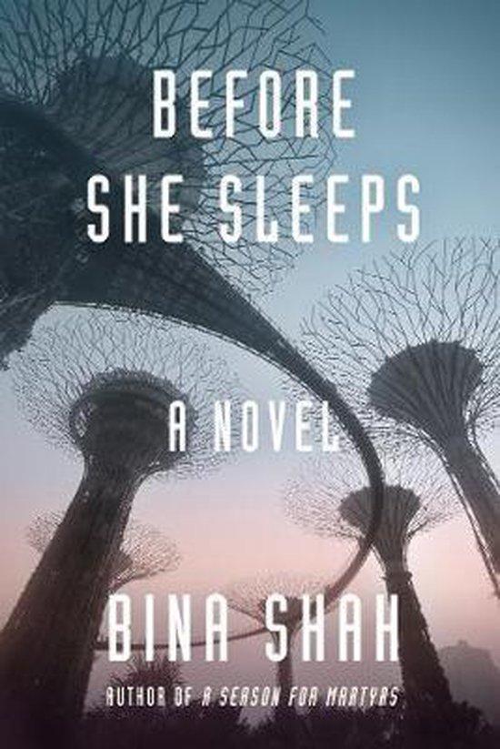 Before She Sleeps 9781883285807 Bina Shah, Boeken, Taal | Engels, Gelezen, Verzenden