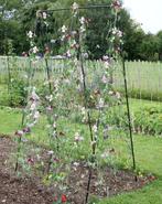 NIEUW - Klimframe erwten en bonen 200 cm, Tuin en Terras, Nieuw, Verzenden