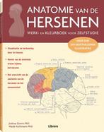 anatomie van de hersenen 9789463591072, Livres, Grossesse & Éducation, N.v.t., Dr. Joshua Gowin, Verzenden
