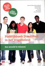 Praktijkboek diversiteit in het jeugdbeleid 9789012573832, Boeken, Gelezen, Marian De Kleermaeker, Verzenden