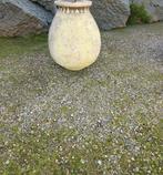 Oliepot - Terracotta, Antiek en Kunst