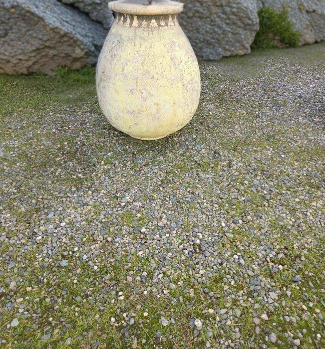 Oliepot - Terracotta, Antiek en Kunst, Curiosa en Brocante