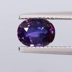 1 pcs Paars, Blauw Saffier - 2.03 ct - nternational Colored, Nieuw
