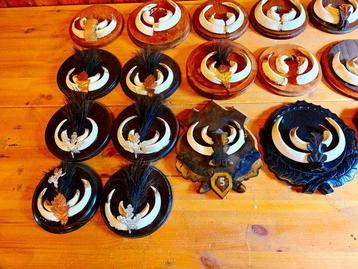 Everzwijn Taxidermie volledige montage - Sus scrofa - 20 cm