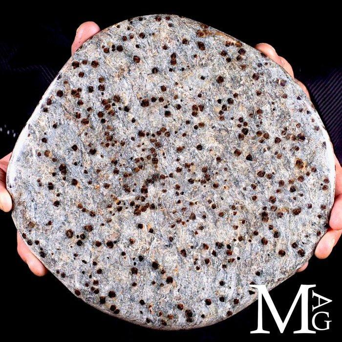 Granato Almandine in matrix van mica-schist - granato, Verzamelen, Mineralen en Fossielen