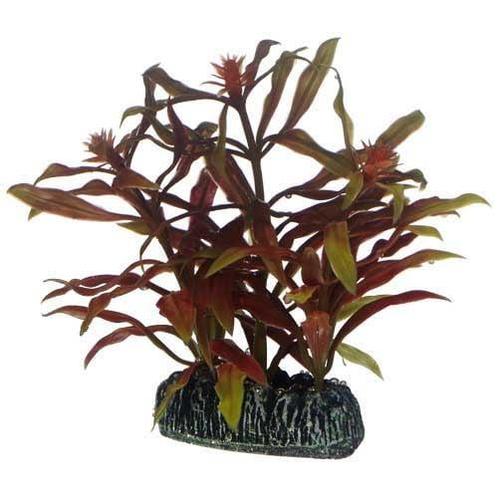 Osaka aquarium kunst plant Nesaea 13cm art. 570, Dieren en Toebehoren, Vissen | Aquaria en Toebehoren, Plant(en), Steen of Hout
