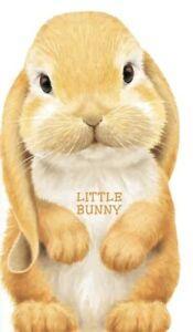 Look at Me Books: Little Bunny by L. Rigo (Board book), Livres, Livres Autre, Envoi