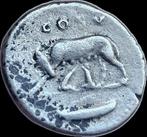 Romeinse Rijk. Domitianus (81-96 n.Chr.). Denarius She-wolf