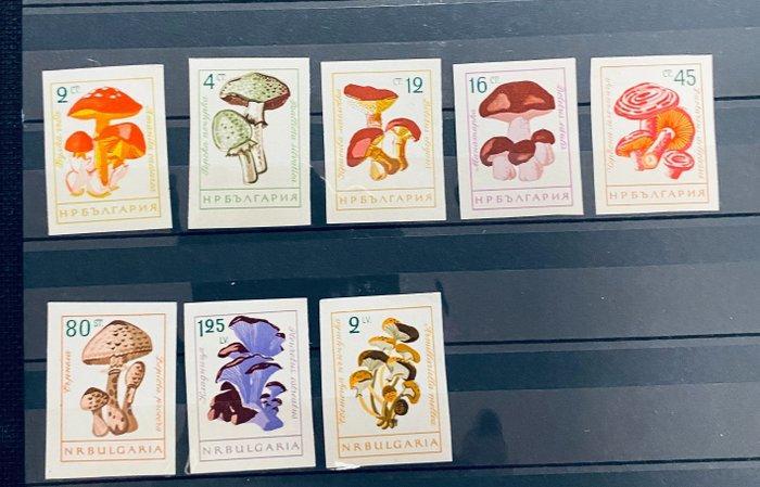 Wereld - Leuke uitzoeker wereld, Postzegels en Munten, Postzegels | Amerika