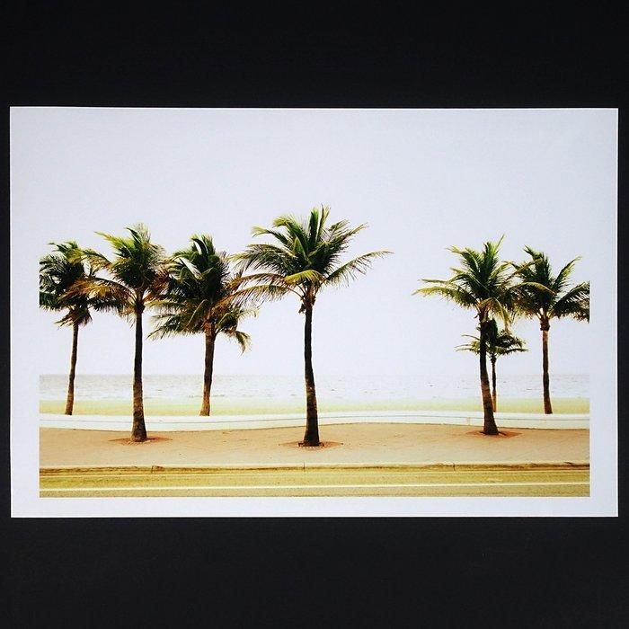 Frank Machalowski - Palm Beach Road, Antiek en Kunst, Kunst | Designobjecten