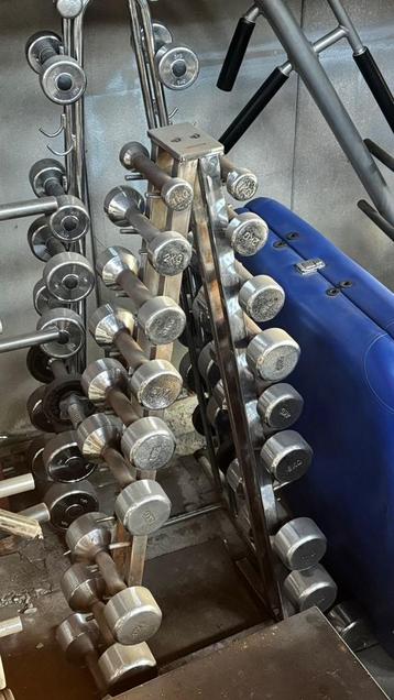 Chromed dumbbellset (1 - 10kg) beschikbaar voor biedingen