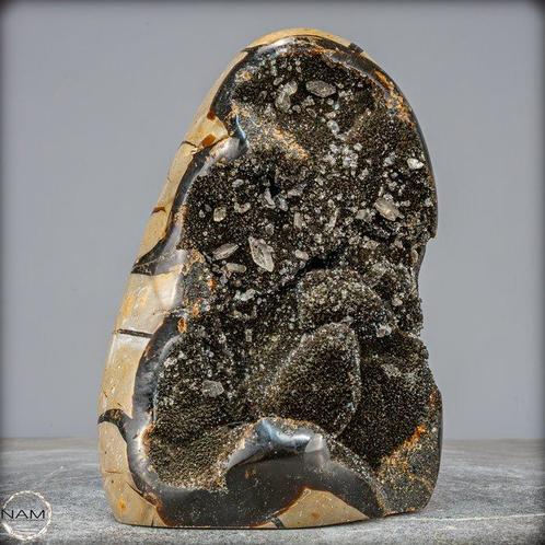 Zeer decoratieve septarien Druzen, met Calcietkristallen-, Verzamelen, Mineralen en Fossielen