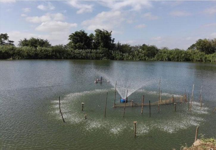 Professionele fontein / vijverbeluchter - Osaka Professional, Tuin en Terras, Vijvers, Nieuw, Verzenden