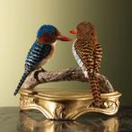 Zebra-IJsvogel Koppel Taxidermie Opgezette Dieren By Max, Ophalen of Verzenden, Opgezet dier