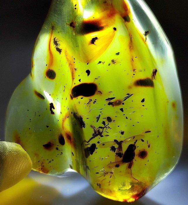 FOSSIL-geweldig!! Dominicaanse amber - 345 ct- 69 g, Verzamelen, Mineralen en Fossielen