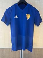 Scotland - Coupe d’Europe de Football - 2019 - Maillot de, Nieuw