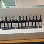 2023 Tenuta SantAnna Merlot - Veneto - 12 Bouteilles (0,75