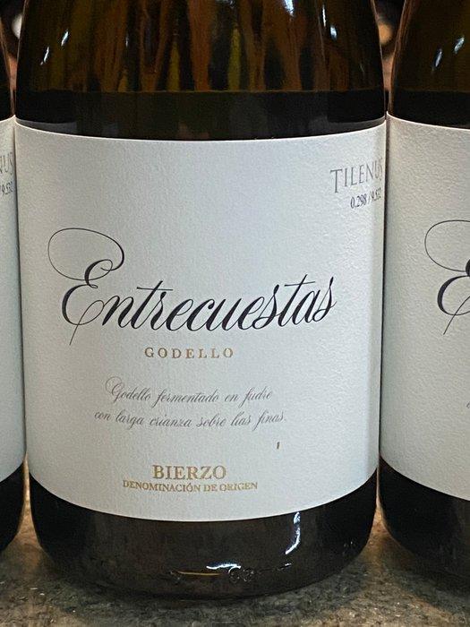 2023 Bodegas Estefanía - Raúl Pérez - Tilenus Entrecuestas, Collections, Vins