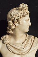 Sculpture, Busto Apollo del Belvedere - 46 cm - Marbre, Antiquités & Art