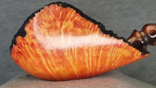 DON FLORIAN - 6724 FAN SHAPE - Sans Prix de Réserve - Pipe -, Verzamelen, Rookartikelen, Aanstekers en Luciferdoosjes