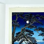 Woodblock Print Tsukiyono Enoshima  (Enoshima in the