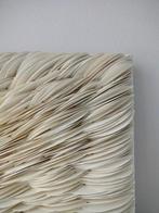 Samantha Bonanno - Euphoria