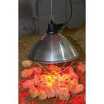 Protecteur de lampe infrarouge 5 m réflecteur 35cm, Articles professionnels, Agriculture | Aliments pour bétail