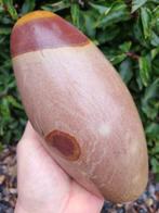 Unique XXL Shiva Lingam, 22 x 10 cm- 3.06 kg, Verzamelen