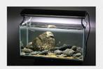 Brook stone 10-15cm - aquarium decoratie stenen, Dieren en Toebehoren, Vissen | Aquaria en Toebehoren, Verzenden, Nieuw