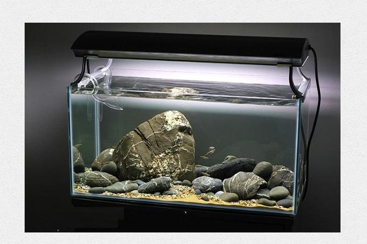 Brook stone 10-15cm - aquarium decoratie stenen, Dieren en Toebehoren, Vissen | Aquaria en Toebehoren, Nieuw, Verzenden