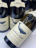 2024 Southern Right Sauvignon Blanc - Vallée Hemel-en-Aarde, Nieuw