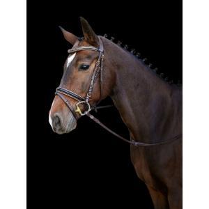 Trensenzaum kingston, braun wb, englisch komb. modell -, Animaux & Accessoires, Chevaux & Poneys | Autres trucs de cheval